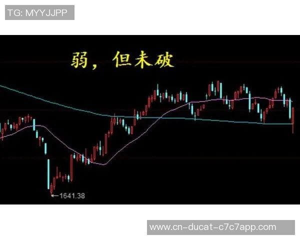 浮嶋敏确定主力阵容！2个方位存疑，防地未经检测，最大变招显现